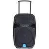 Blaupunkt PA12 tragbarer Lautsprecher 650 W Stereo tragbarer Lautsprecher Schwarz