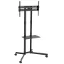 TV-Rollenständer Maclean, professionell, 32-70, auf Rollen, max. VESA 600x400, max. 40 kg, MC-951