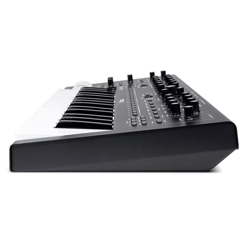 Analog-Synthesizer Moog MOOG MESSENGER – monophones Desktop-Instrument