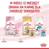Nassfutter für Katzen Royal Canin Kitten Gravy 85 g — Geflügel, 78 % Feuchtigkeit, 12 % Protein