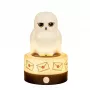 BlueSkyStudios Harry Potter - Mini-Lampe USB-C (dimmbar)