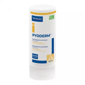 Shampoo VIRBAC PYODERM für Hunde und Katzen 250 ml