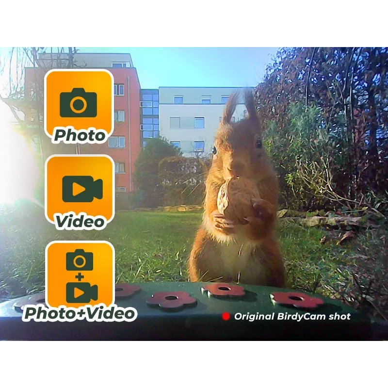 EASYPIX Bird Camera Easypix Bird Cam 10123 1080p HD Nachtsicht