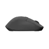 Kabellose Maus NATEC KITE NMY-2347, bis zu 4000 DPI, leise Klicks, neigbares Scrollrad, schwarz