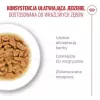 Nassfutter für Katzen Royal Canin FHN Ageing 11+ Gravy 12×85 g – Senior Komplett-Nassfutter in Schalen