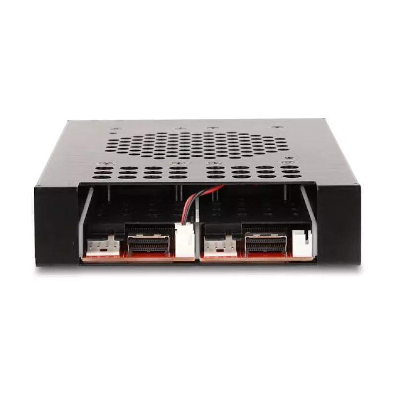 SSD-Gehäuse DeLOCK 47117 3,5 Zoll Wechselrahmen für 2 x M.2 NVMe SSD