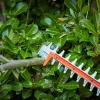 BD HECKENSCHERE 650W/60cm/25mm