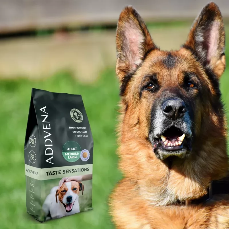 ADDVENA Taste Sensations Adult Medium/Large Turkey - Trockenfutter für Hunde - 10kg