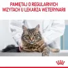 Nassfutter für Katzen Royal Canin Urinary Care ausgewachsene Erwachsene Geflügel 85 g Beutel (12er-Pack)