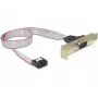 Serielles Kabel DeLOCK 89300 0,4 m DB9 Grau