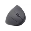 Gembird MUSW-ERGO-01 Maus für Rechtshänder RF Wireless Optisch 1600 DPI