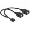 Internes USB-Kabel DeLOCK 83292 0,2 m Buchse auf Buchse