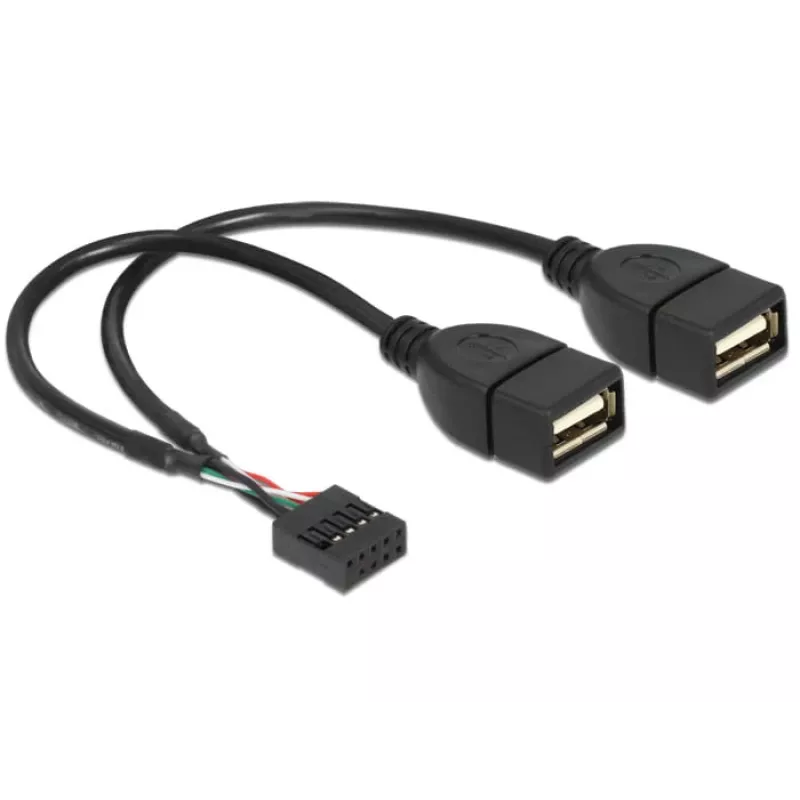 Internes USB-Kabel DeLOCK 83292 0,2 m Buchse auf Buchse