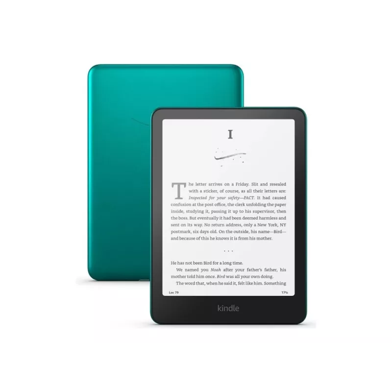 Kindle B0CFPP8C33 Grün