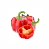 Saatgut-Pellets Seklos LT Ożarowska Paprika 50 Samen (ummantelt)