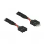 Kabel DeLOCK 0,1m 2xUSB2.0 10p