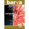 Fotopapier Barva Profi Super Glossy 255 g/m² A3 20 Blatt