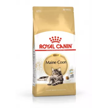 Trockenfutter für Katzen Royal Canin Maine Coon Adult 10 kg — Geflügel (Huhn), 31 % Protein, 20 % Fett