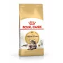 Trockenfutter für Katzen Royal Canin Maine Coon Adult 10 kg — Geflügel (Huhn), 31 % Protein, 20 % Fett