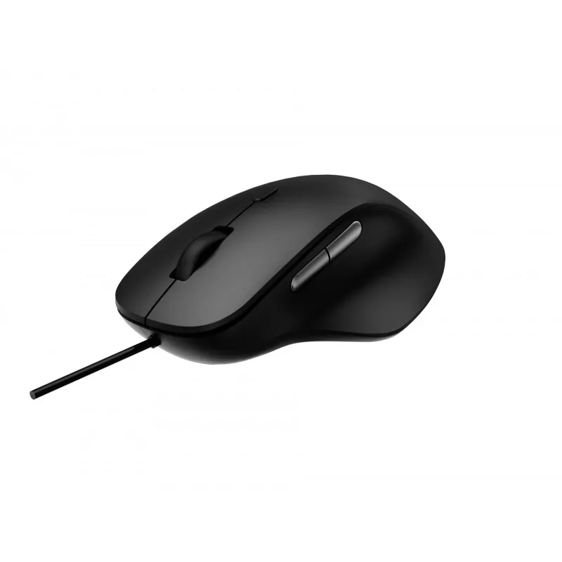 Rapoo N500 Maus Office USB Typ-A Optisch 3600 DPI