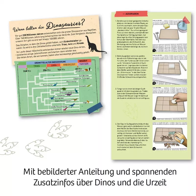 Kosmos T-REX, Augmented Reality, 7 Jahr(e), Grün Kosmos T-REX. Typ: Augmented Reality, Empfohlenes Alter (mind.): 7 Jahr(e), Produktfarbe: Grün