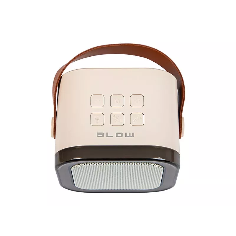 Karaoke-Lautsprecher, KARAOKE RGB Bluetooth-Lautsprecher, 30W