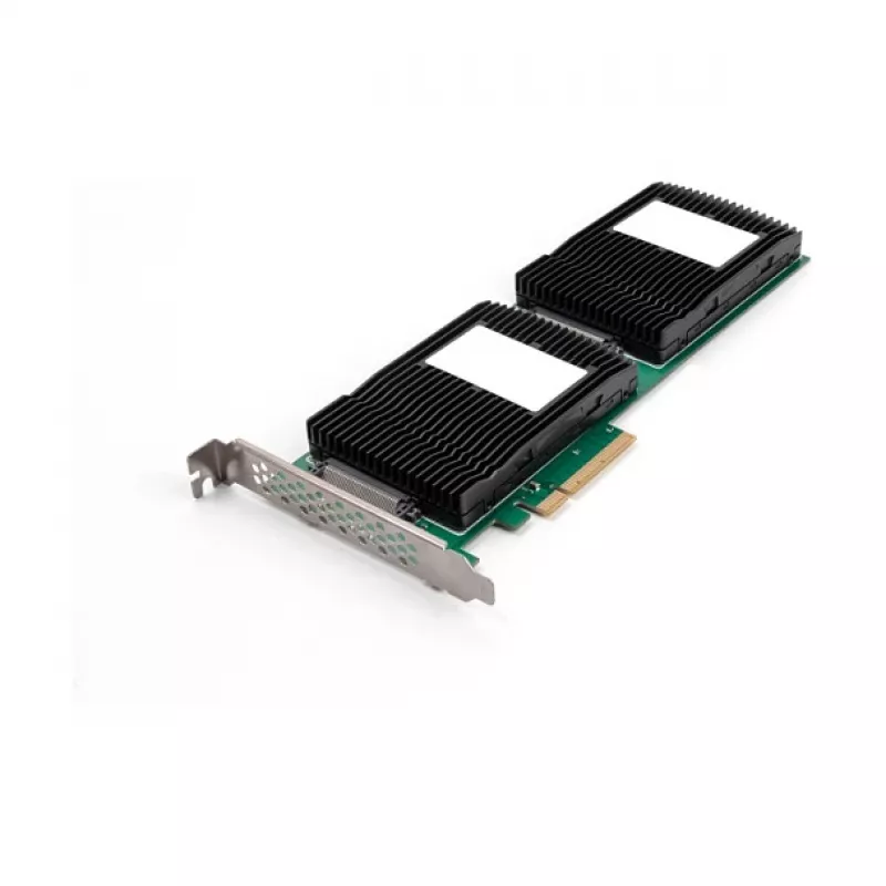 DeLOCK 90151 Interner U.2-Adapter PCIe mit LED-Anzeigen