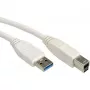 VALUE USB-Kabel - USB Typ A (M) auf USB Typ B (M)
