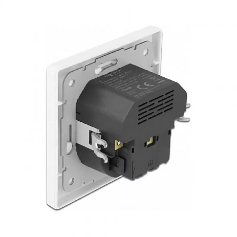 DeLOCK 11489 Steckdose CEE 7/3 + USB Weiß 250V 16A