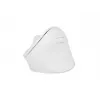 NATEC Crake 2 Maus, universell, für Rechtshänder, RF Wireless + Bluetooth, optisch, 2400 DPI
