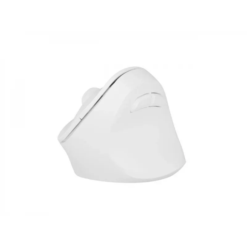 NATEC Crake 2 Maus, universell, für Rechtshänder, RF Wireless + Bluetooth, optisch, 2400 DPI