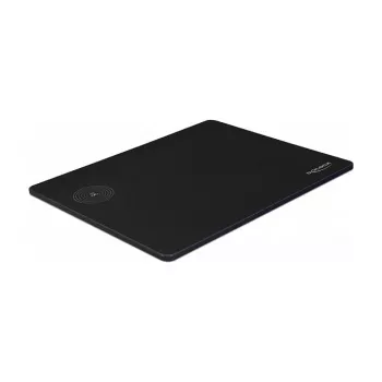 Maus pad DeLOCK 12595