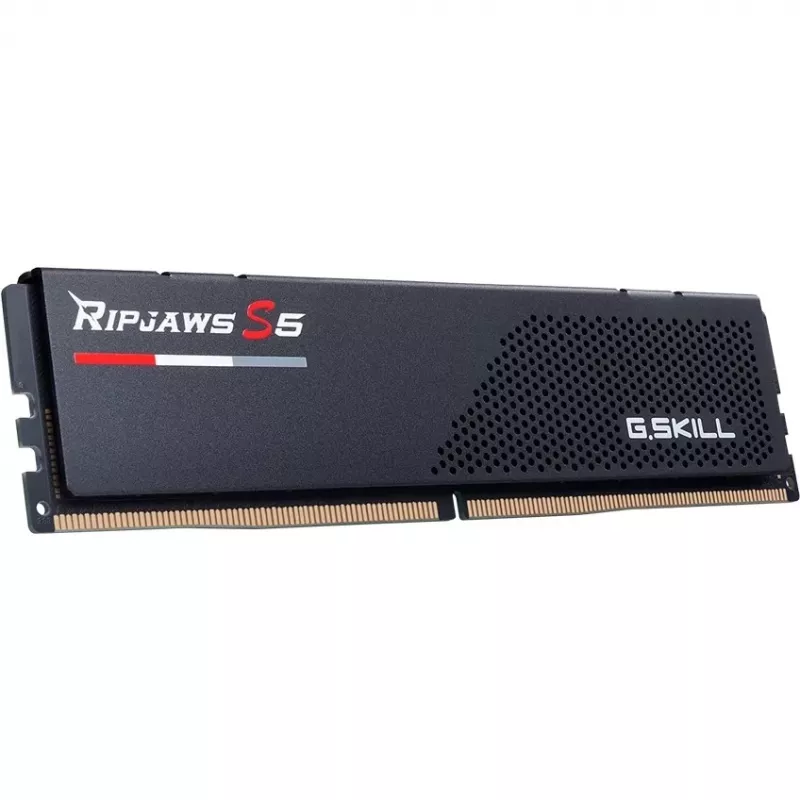 G.skill F5-6800J3446F24GX2-RS5K Speichermodul