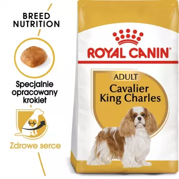 Trockenfutter für Hunde Royal Canin Cavalier King Charles Adult 1,5 kg — Huhn, kleine Rasse, Haut & Fell, Herzunterstützung