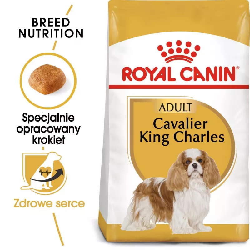 Trockenfutter für Hunde Royal Canin Cavalier King Charles Adult 1,5 kg — Huhn, kleine Rasse, Haut & Fell, Herzunterstützung
