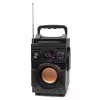 Squeak Bassblaster Bluetooth 5.1 Lautsprecher, FM-Radio, MP3-Player SQ1001