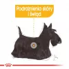 Royal Canin Dermacomfort Adult 85 g Beutel – Nassfutter für Hunde mit empfindlicher Haut, Geflügelgeschmack, 78 % Feuchtigkeit