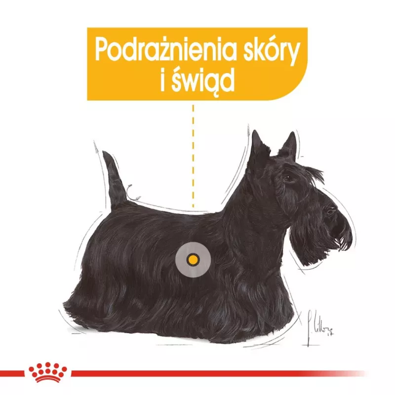 Royal Canin Dermacomfort Adult 85 g Beutel – Nassfutter für Hunde mit empfindlicher Haut, Geflügelgeschmack, 78 % Feuchtigkeit