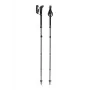 Trekkingstöcke Leki TR Makalu FX verstellbar 110–130 cm, grün