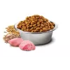 Trockenfutter für Hunde Farmina N&D Ancestral Grain Adult Huhn 15 kg — 27% Protein, 16% Fett