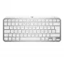 Tastatur MX Keys Mini Mac Pale 920-010526 grau