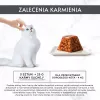 Nassfutter für Katzen Purina Nestlé Gourmet Revelations Chunks in Jelly mit Huhn 2 x 57 g, ausgewachsene Katzen, Protein 9%, Feuchtigkeit 83%