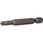 C.K. Plus/minus-Bit 2 Chrome-Vanadium Steel E 6.3 2 Stk. (T4545 2)