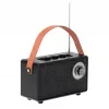 Camry Lautsprecher mit Radio | CR 1902 B | 5 W | Bluetooth | Schwarz | Kabellose Verbindung