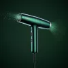 BaByliss Air Power Pro Haartrockner 1700 W Gold, Grün