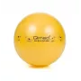 ABS-Rehabilitationsball mit Pumpe, 45 cm