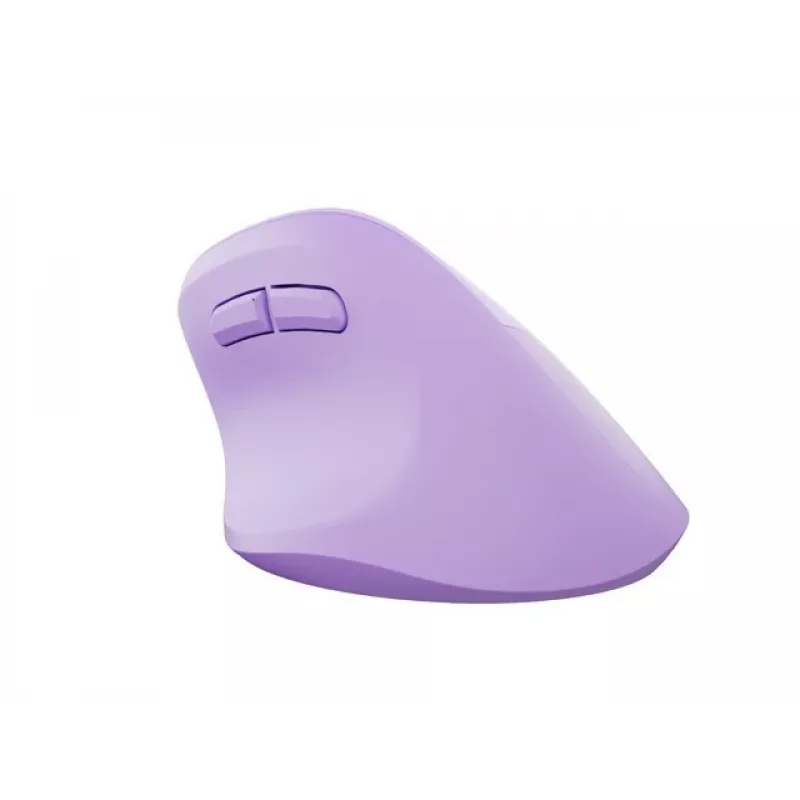 NATEC Crake 2 Maus Universal Rechtshänder RF Wireless + Bluetooth Optisch 2400 DPI