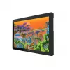 Grafiktablett Huion Kamvas 22 Plus