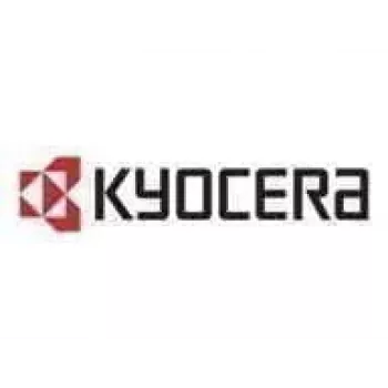 Kyocera IB-38 - Druckserver - USB - für TASKalfa 2554Ci