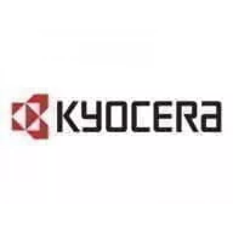 Kyocera IB-38 - Druckserver - USB - für TASKalfa 2554Ci
